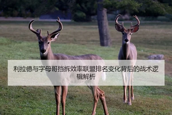 利拉德与字母哥挡拆效率联盟排名变化背后的战术逻辑解析